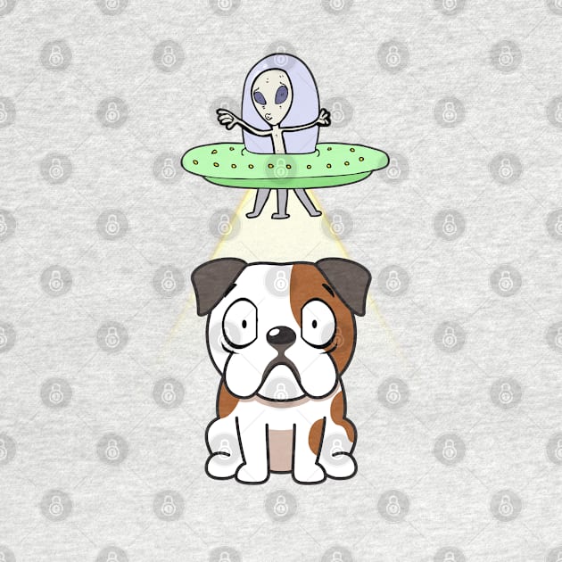 Funny bulldog is being abducted by aliens by Pet Station